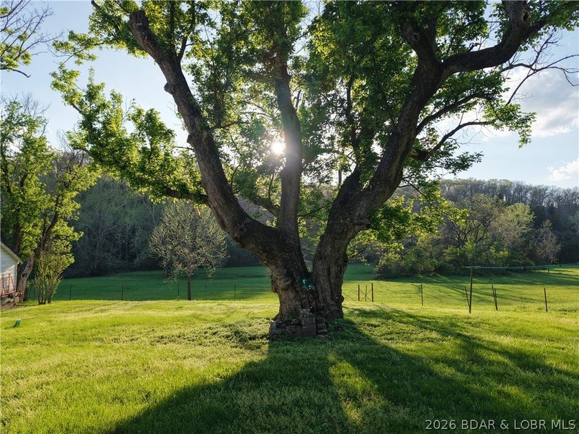 Live the best of both worlds-peaceful country living just - photo 35