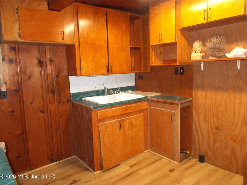 Lakefront Opportunity on Snow Lake - Endless Potential! Bring - photo 13