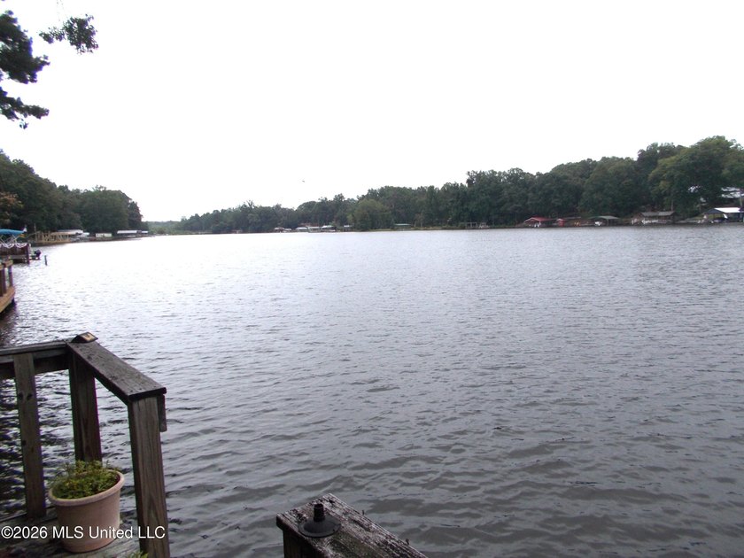 Lakefront Opportunity on Snow Lake - Endless Potential! Bring - photo 36