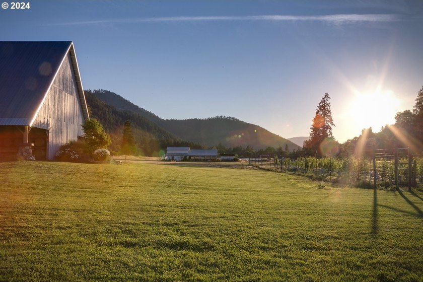 Welcome to Red Lily Vineyards, one of the most acclaimed - photo 24