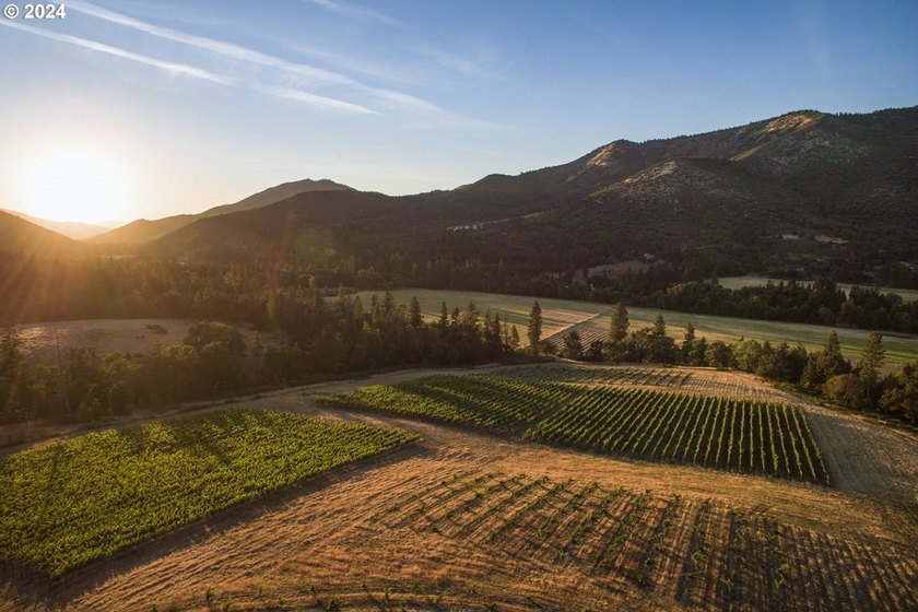 Welcome to Red Lily Vineyards, one of the most acclaimed - photo 25