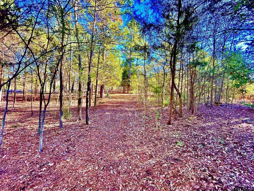 Water's Edge Ranch is a 2,150 acre gated community surrounding a - photo 15
