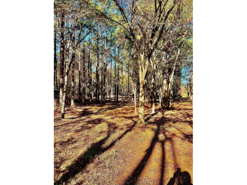 Water's Edge Ranch is a 2,150 acre gated community surrounding a - photo 17