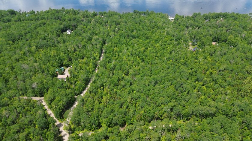 RARE OPPORUNITY BUY ONE LOT OR BUY ALL 3 FOR A FAMILY COMPOUND - photo 2