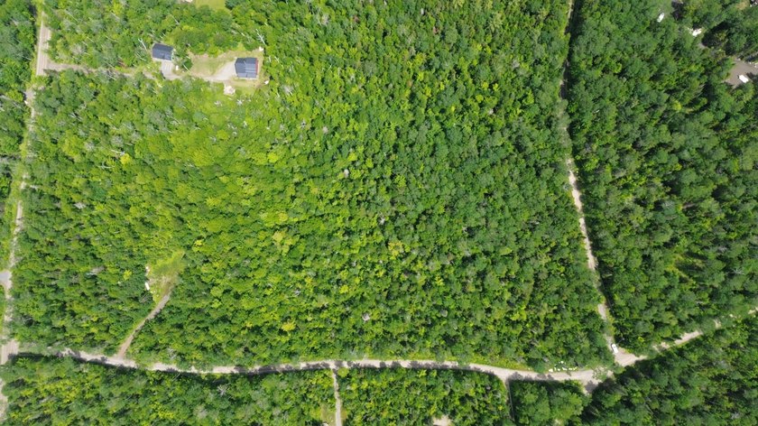 RARE OPPORUNITY BUY ONE LOT OR BUY ALL 3 FOR A FAMILY COMPOUND - photo 4