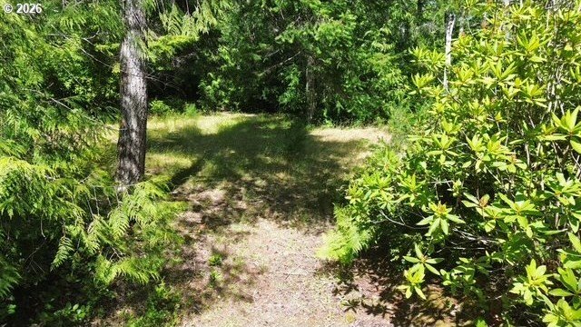 Build your dream home on this beautiful 2.34-acre lot in North - photo 2