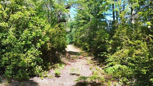 Build your dream home on this beautiful 2.34-acre lot in North - photo 7
