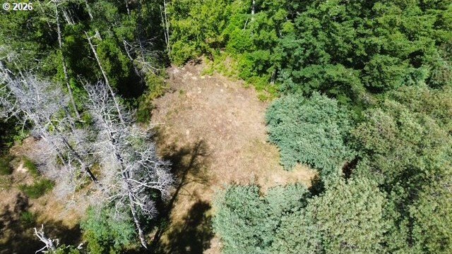 Build your dream home on this beautiful 2.34-acre lot in North - photo 9