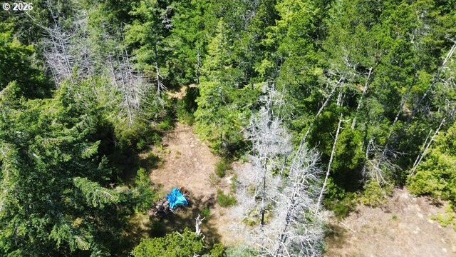 Build your dream home on this beautiful 2.34-acre lot in North - photo 10