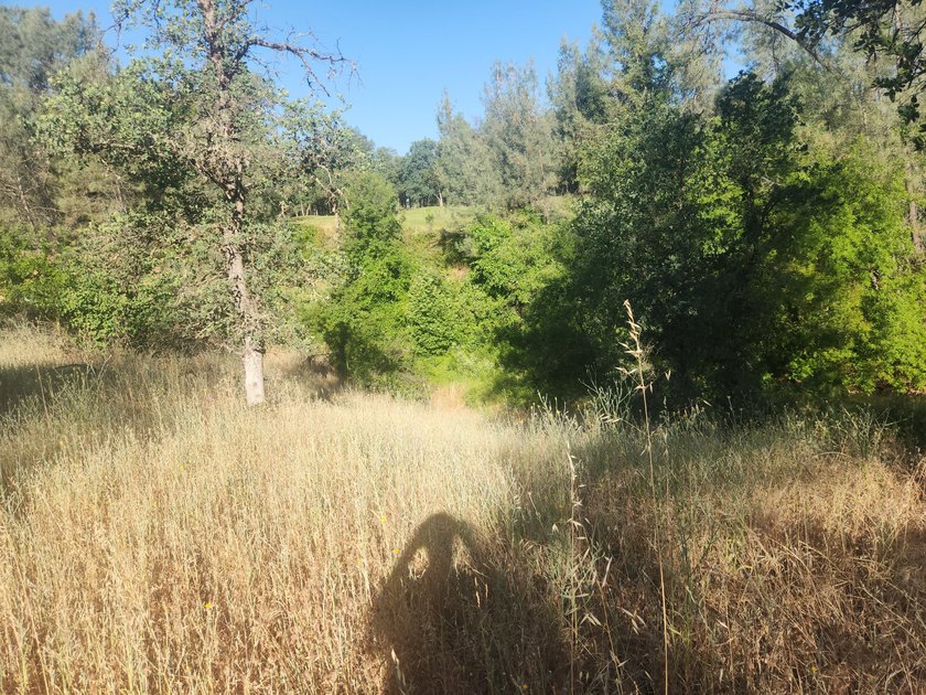 Located across the creek from Tierra Oaks, this level two acre - photo 11