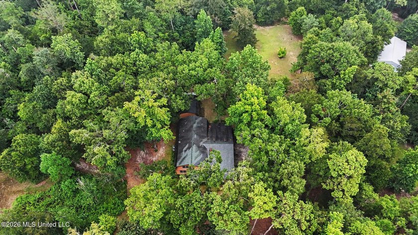 Log-style home on 3.1 country acres in Woolmarket. 3 bed, 2.5 - photo 34