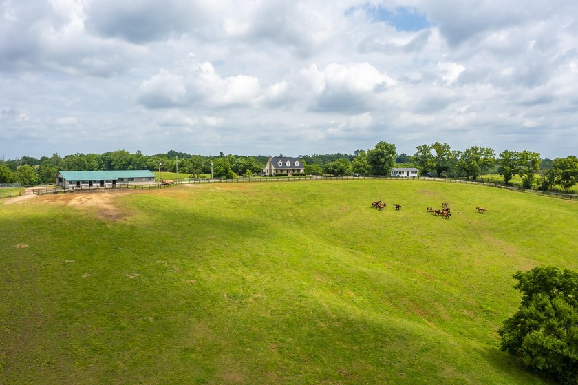 Horse farms of this size and setup are hard to find. Situated on - photo 49