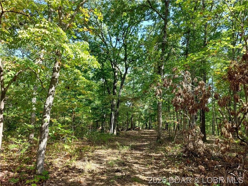 10+/- Acres waiting for your hunting or camping adventures! This - photo 4