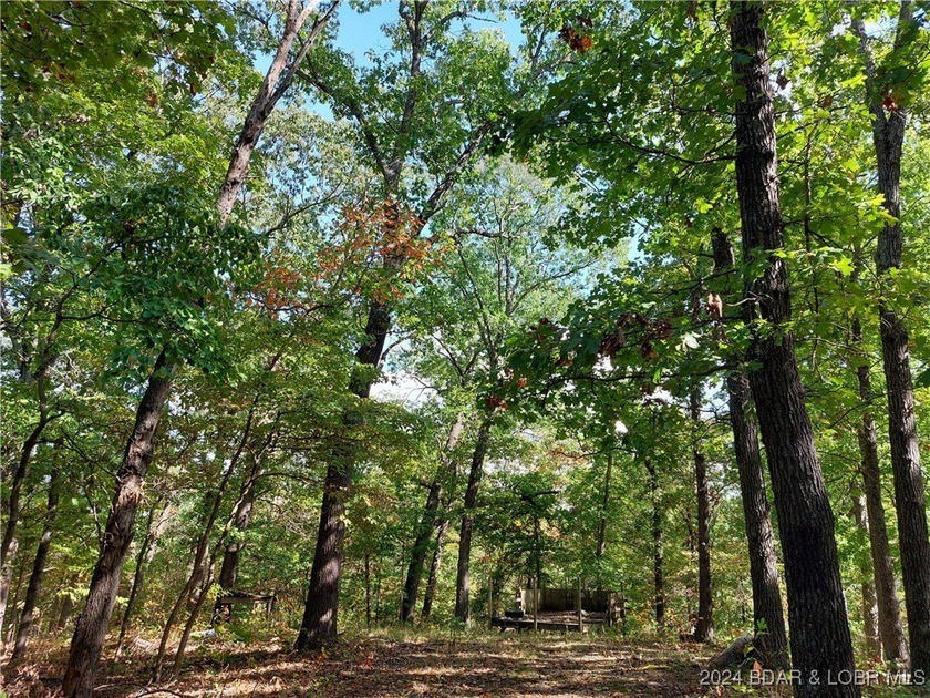 10+/- Acres waiting for your hunting or camping adventures! This - photo 5