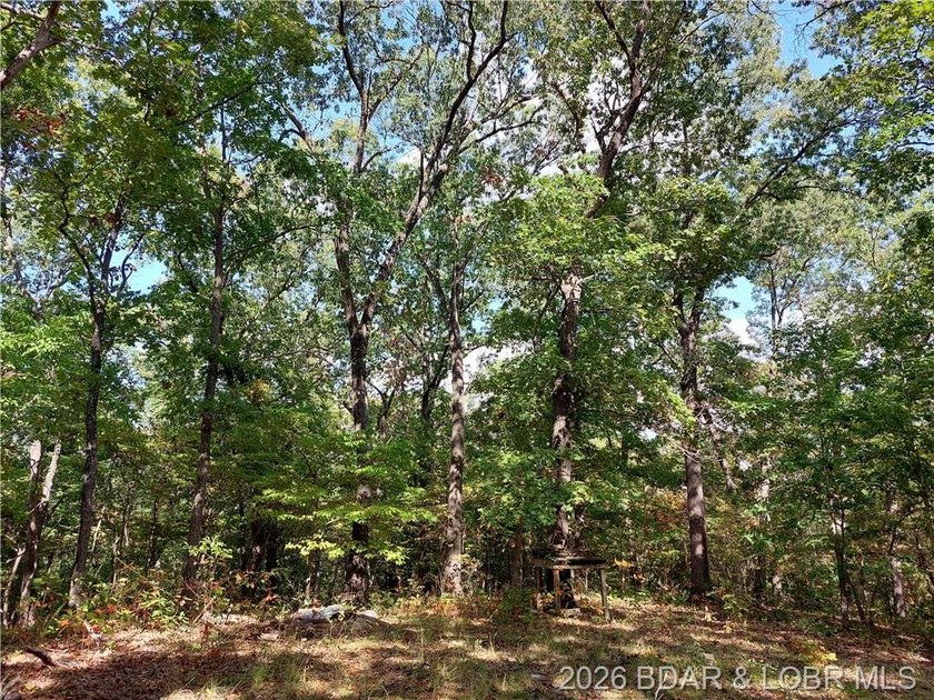 10+/- Acres waiting for your hunting or camping adventures! This - photo 6