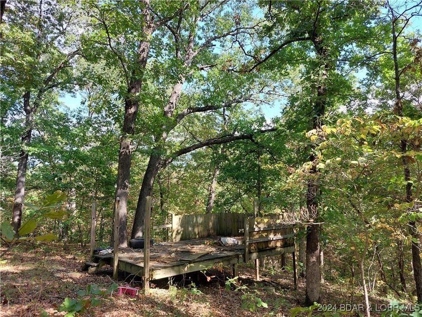 10+/- Acres waiting for your hunting or camping adventures! This - photo 7