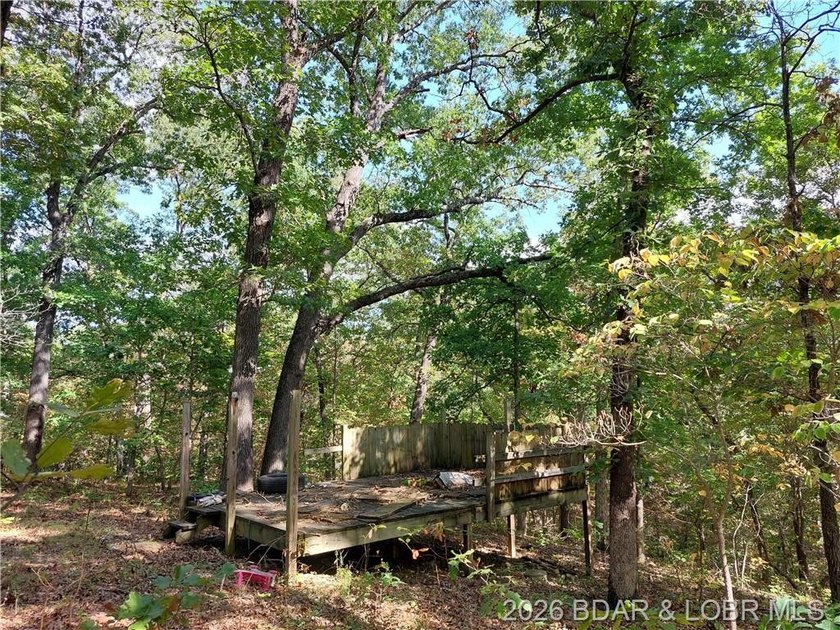 10+/- Acres waiting for your hunting or camping adventures! This - photo 7