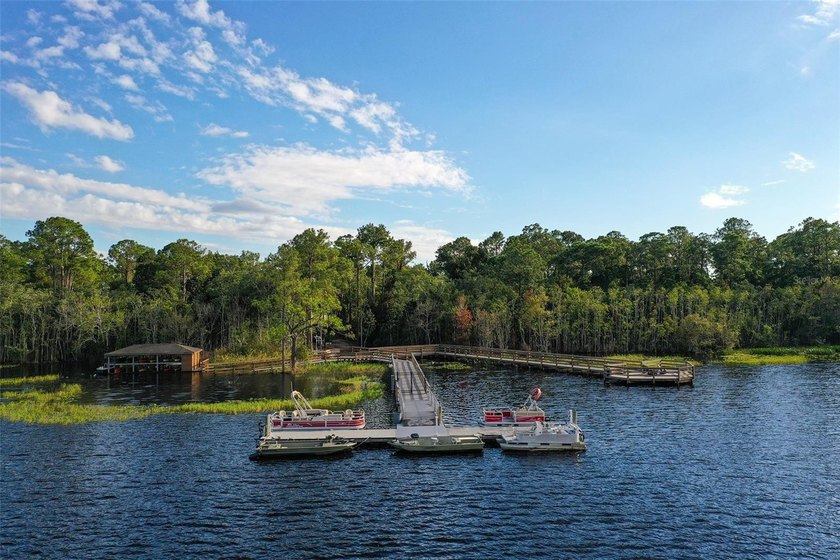 Under contract-accepting backup offers. Back on the Market! - photo 41