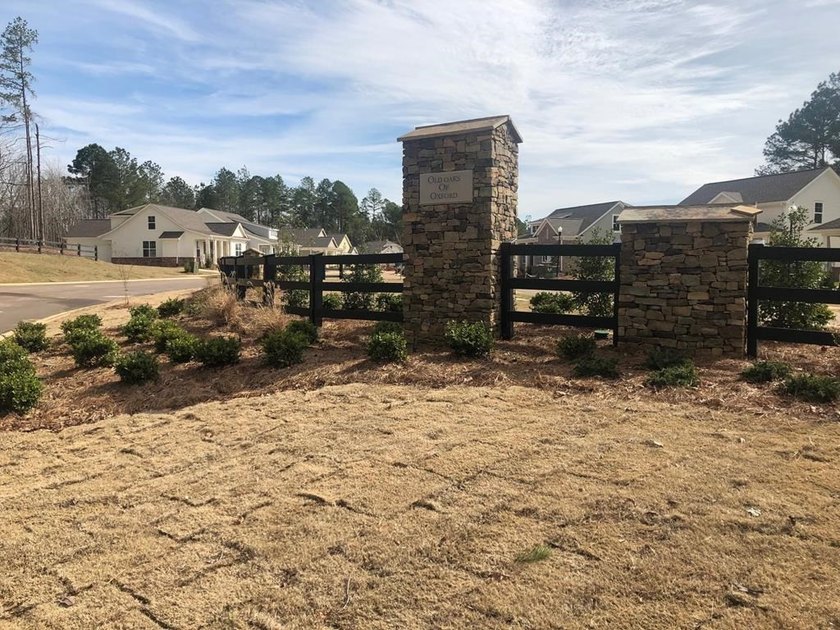 One level Birch Plan! OXFORD school district for an affordable - photo 23
