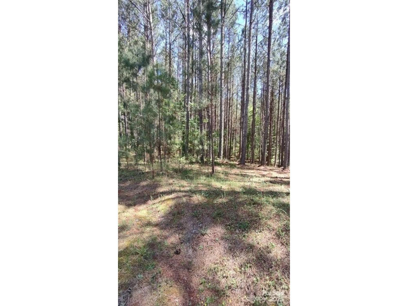 Welcome to Broad River Highlands in Mooresboro! This large lot - photo 6