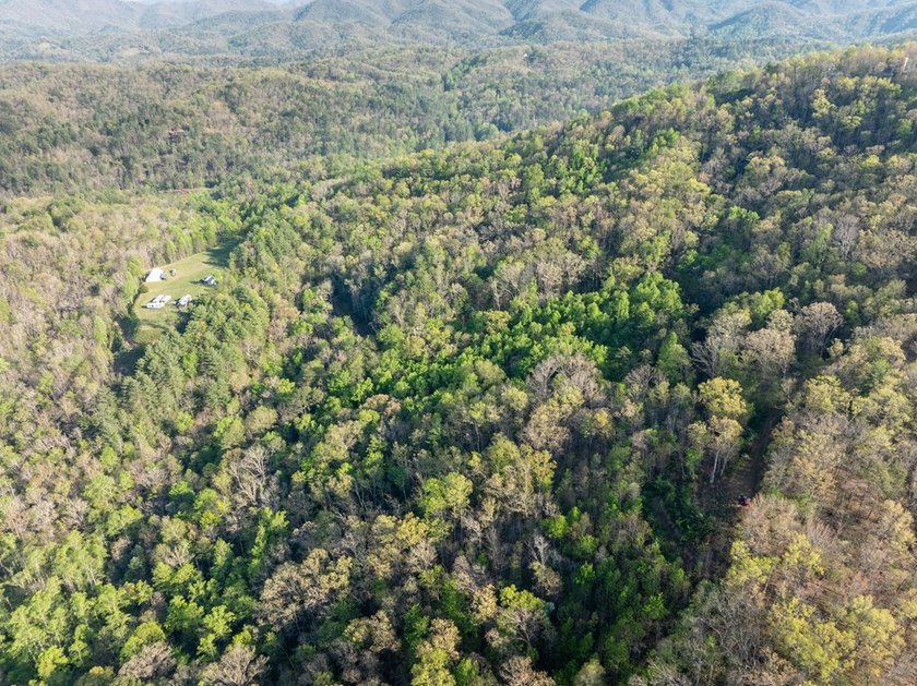 115+/- Acres in Graham County bordering Nantahala National - photo 13