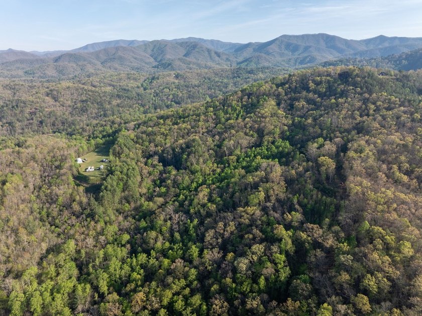 115+/- Acres in Graham County bordering Nantahala National - photo 14