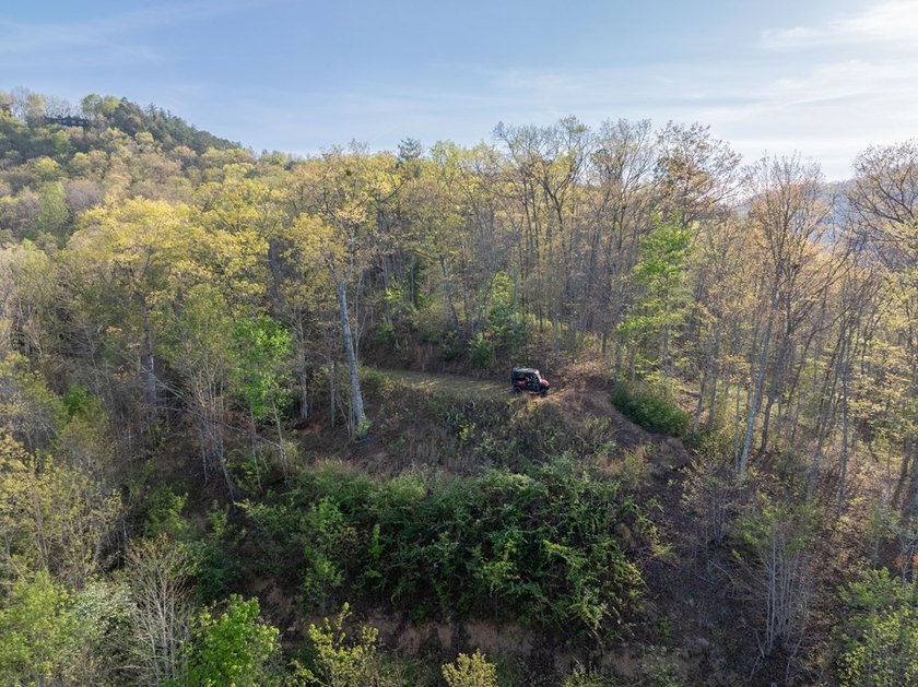 115+/- Acres in Graham County bordering Nantahala National - photo 15