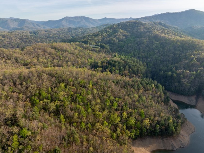 115+/- Acres in Graham County bordering Nantahala National - photo 18