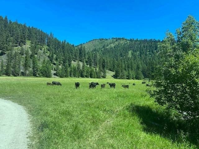 Saw Creek Ranch --Gem of the North-West! Own your very own 337 - photo 13