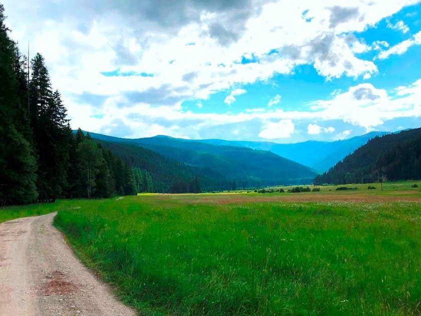 Saw Creek Ranch --Gem of the North-West! Own your very own 337 - photo 34