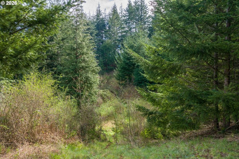 Welcome to Lake Estates, Subdivision of 2+ Acre Lots &amp; New(er) - photo 2