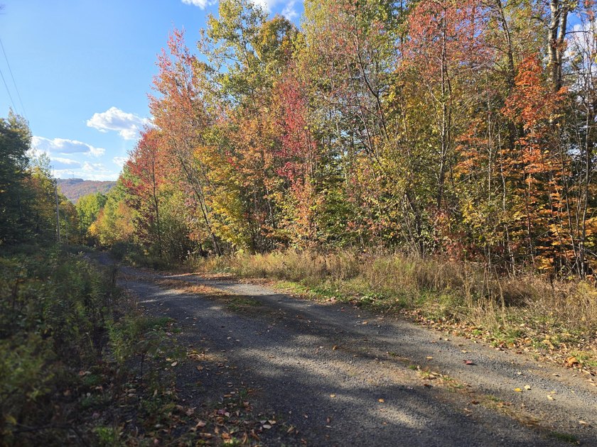 3.75 acres with power located in a very scenic area near golf - photo 3