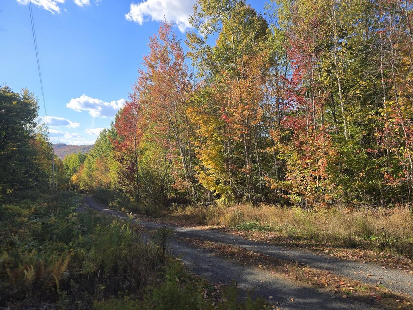 3.75 acres with power located in a very scenic area near golf - photo 4