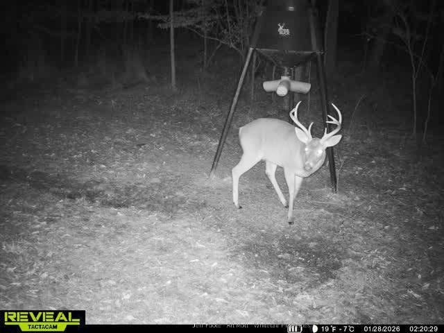This 108+/- acre hunting and recreational property, located just - photo 6
