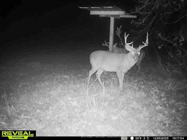This 108+/- acre hunting and recreational property, located just - photo 7