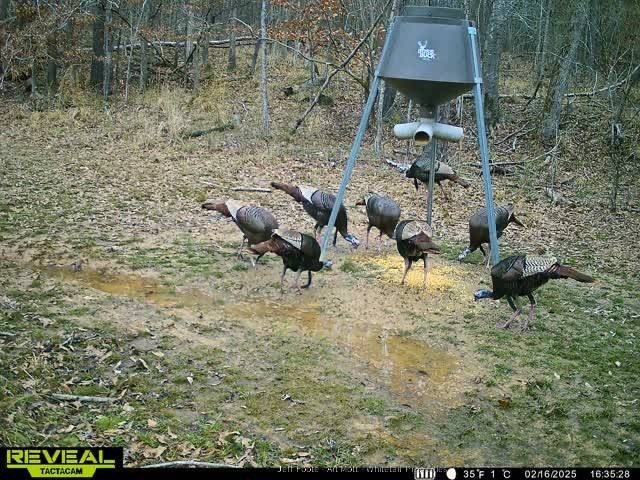 This 108+/- acre hunting and recreational property, located just - photo 8