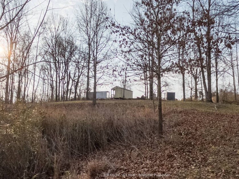 This 108+/- acre hunting and recreational property, located just - photo 10