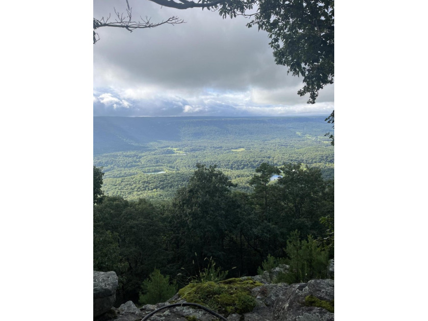 Income Producing Air B&amp;B. Two separate Units, a total of Four - photo 26