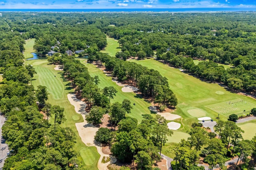 Experience luxury Lowcountry living from this exceptional - photo 48