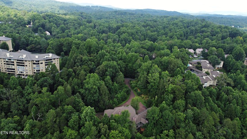 Privately positioned on over 3.8 acres in the heart of - photo 56