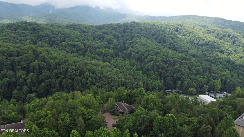 Privately positioned on over 3.8 acres in the heart of - photo 57