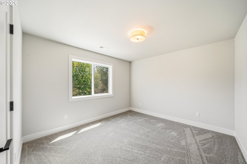 Beautiful new Traditional home backing to serene greenspace - photo 23