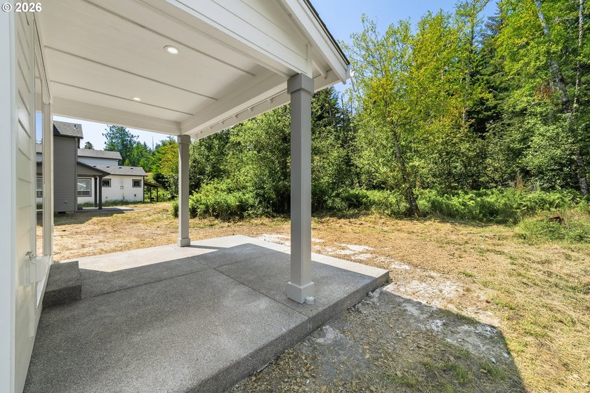 Beautiful new Traditional home backing to serene greenspace - photo 29