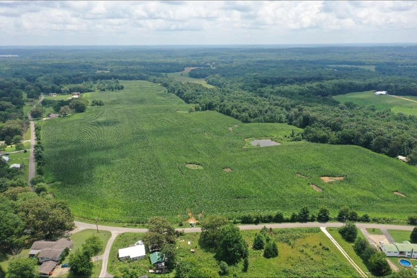 Don't miss your chance to own this 96.3+- acres of prime - photo 11