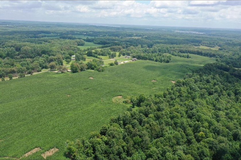 Don't miss your chance to own this 96.3+- acres of prime - photo 14