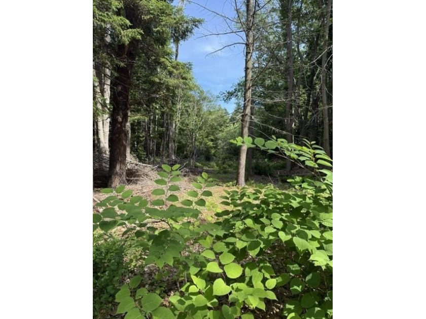 Rare opportunity to own 1.41 acres on beautiful Peaks Island - photo 3