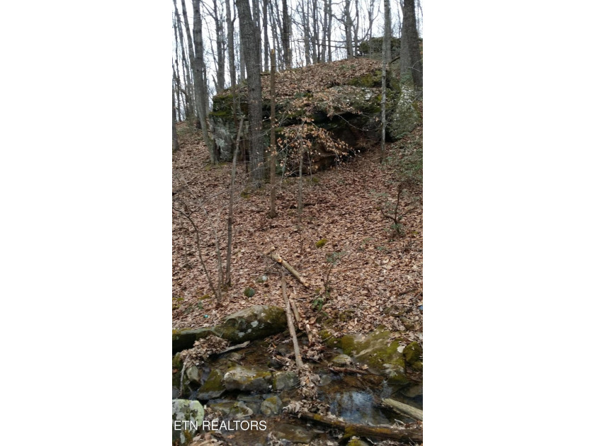 Build your dream home on this beautiful, oversized lot in the - photo 19