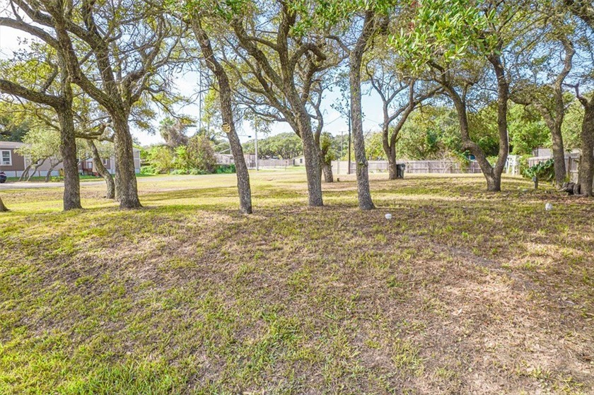 Two adjoining lots, including one corner lot, offering - photo 8