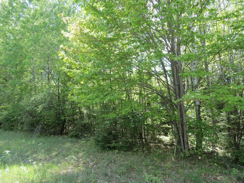 Beautiful wooded lot is waiting for you to build your own dream - photo 12
