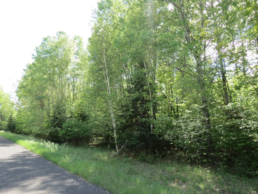 Beautiful wooded lot is waiting for you to build your own dream - photo 14